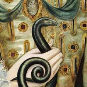 Snake într-un vis (ce un șarpe de vis)